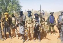 THEWILL EDITORIAL: A Troubling Pattern of Terrorist Attacks Terrorists