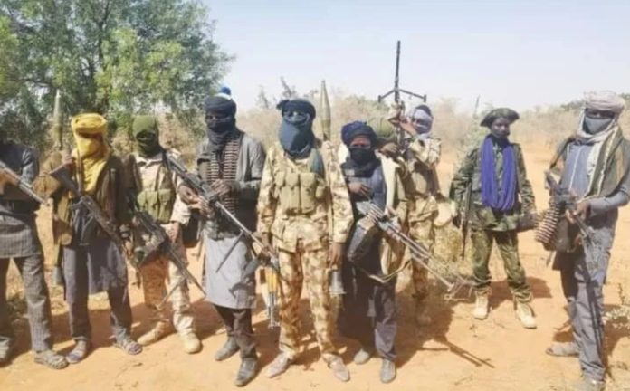 Terrorists Terrorists