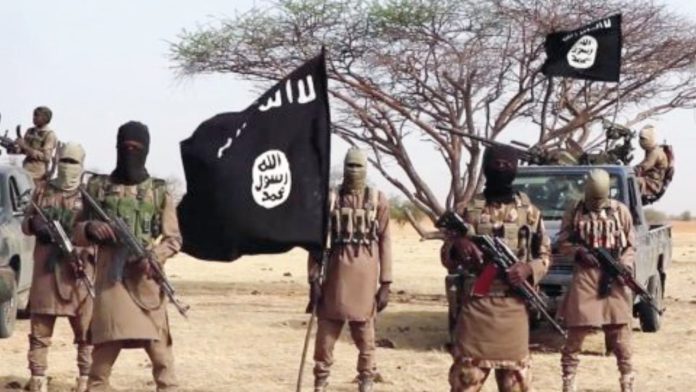The Ansaru terrorists’ group, The Ansaru terrorists’ group,