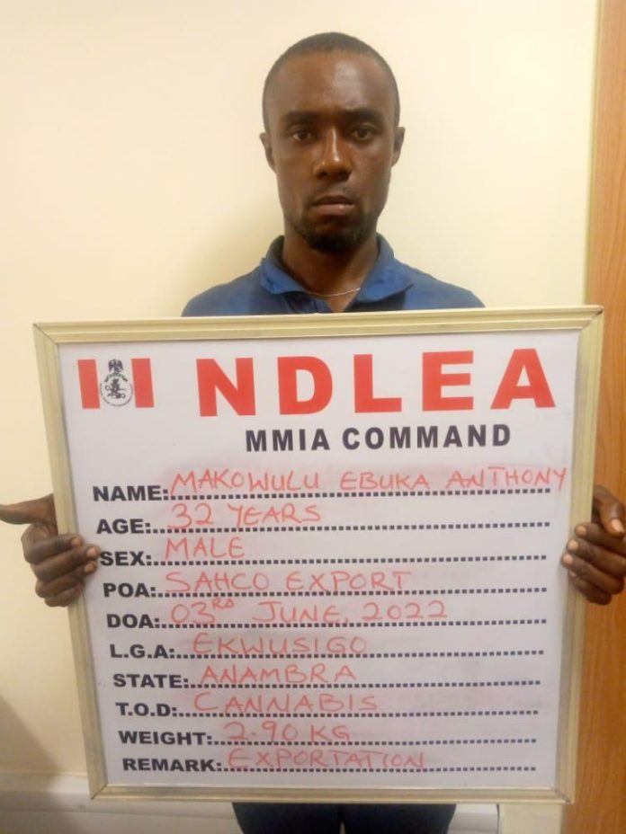 NDLEA NDLEA