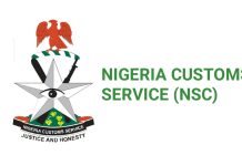 Video In Circulation Is Old, Nigerian Borders Have Been Open For Months – Customs NCIS