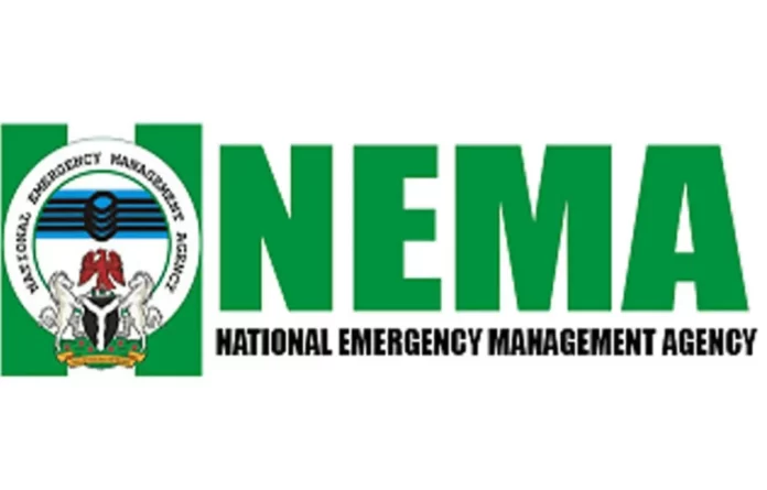 NEMA-1 NEMA