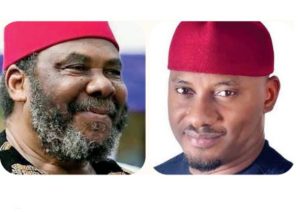 Pete Edochie - THEWILL NEWS MEDIA