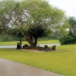 Pandemic Exposed Lakowe Lakes Resort’s Best Kept Secret – Olagbenro