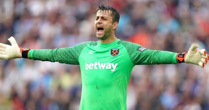 Fabianski