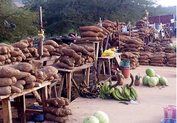 Food Crisis Food Crisis