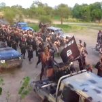 Terrorists Intercept UN Food Trucks In Borno