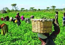 45 YEARS OF CBN INTERVENTION: Kogi State