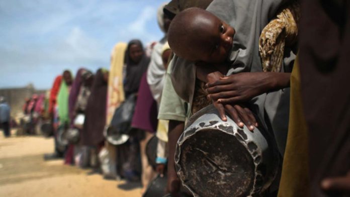 IDPs-1