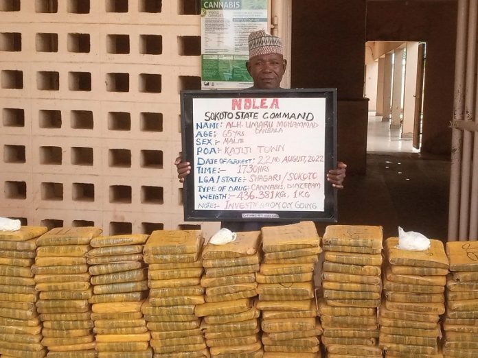 NDLEA Arrests Sokoto Village Head With 436.4kg Cannabis Sativa NDLEA Arrests Sokoto Village Head With 436.4kg Cannabis Sativa
