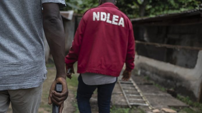 NDLEA NDLEA