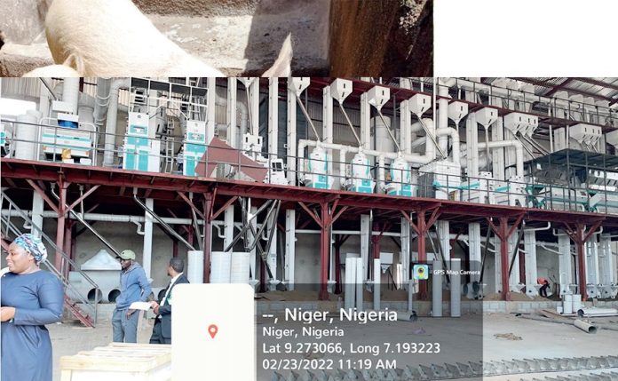 niger factory