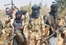 THEWILL EDITORIAL: Surge in Violent Attacks, Killings, Abductions Bandits
