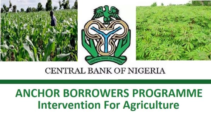 CBN Anchor Borrowers Programme CBN Anchor Borrowers Programme