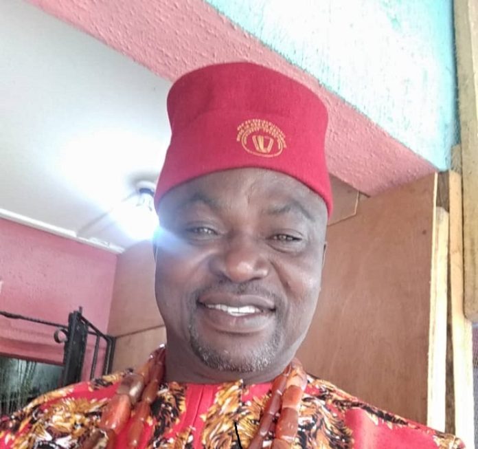 Chief Remigius Ekwem