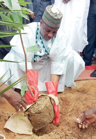 Gov. Aminu Tambuwal Planting a tree - THEWILL NEWS MEDIA Gov. Aminu Tambuwal Planting a tree