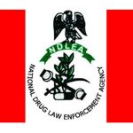 NDLEA Arrests Wanted Kingpins Over Intercepted Illicit Drugs In Lagos, Abuja Brazillian Returnee Excretes 92 Wraps Of Cocaine At Abuja Airport
