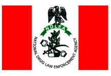 THEWILL EDITORIAL: Kudos to NDLEA Brazillian Returnee Excretes 92 Wraps Of Cocaine At Abuja Airport