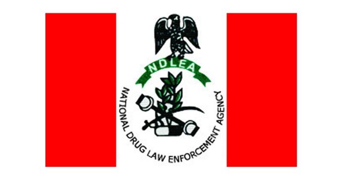 NDLEA Brazillian Returnee Excretes 92 Wraps Of Cocaine At Abuja Airport