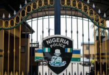 THEWILL EDITORIAL: The Nigeria Police Again! Nigeria Police