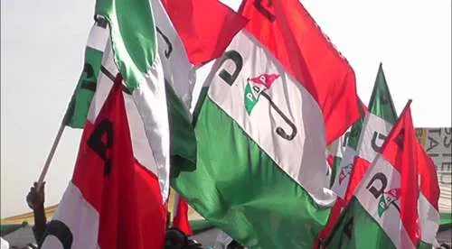PDP NEC 2023 Elections