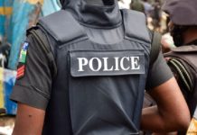 OPINION: State Police Cannot Succeed Without Democratic Reform and Accountability Nigerian Police