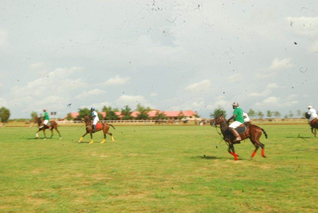 Polo Tournament and Cultural Festival in Argungu 4 - THEWILL NEWS MEDIA Polo Tournament and Cultural Festival in Argungu