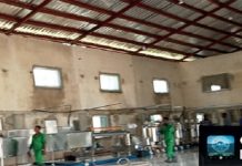45 Years Of CBN Intervention: Delta And Edo States Emmppek Farm Limited