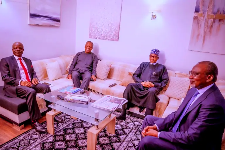 Buhari 1 - THEWILL NEWS MEDIA