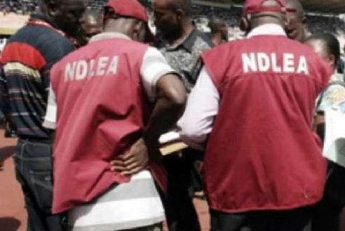 NDLEA