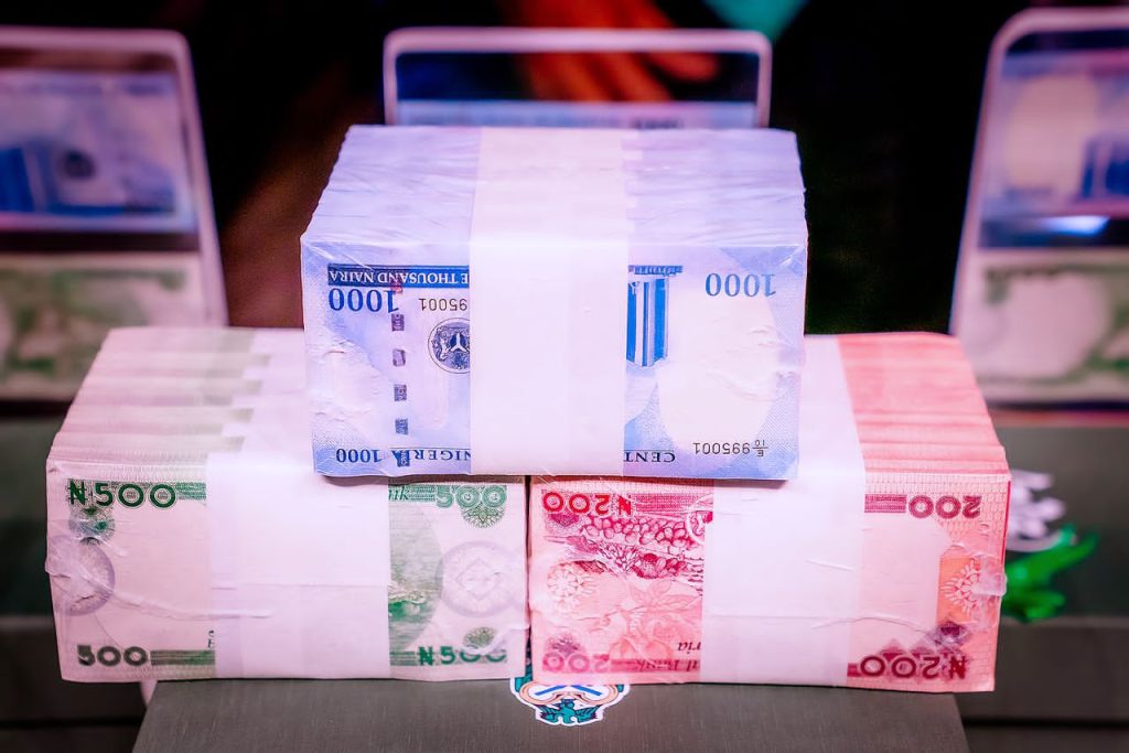 New naira notes - THEWILL NEWS MEDIA