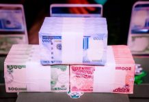 Naira Rises to N742.31/$ As Equities Market Resumes Bullish Trend