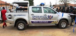 OPERATION DELTA HAWK