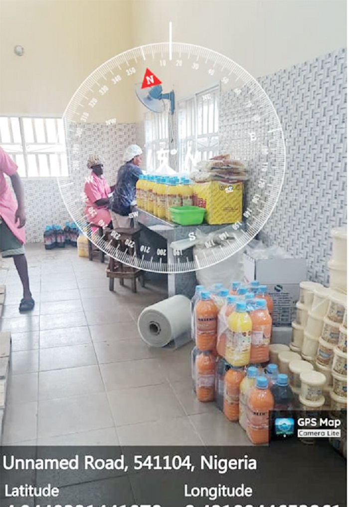 Rose Eyo Ojomu - THEWILL NEWS MEDIA