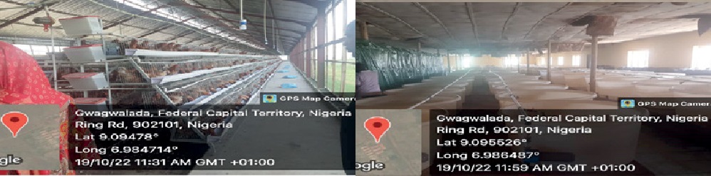 Fays Agro FCT - THEWILL NEWS MEDIA