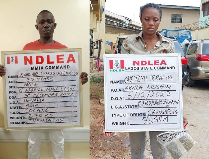 NDLEA brazil