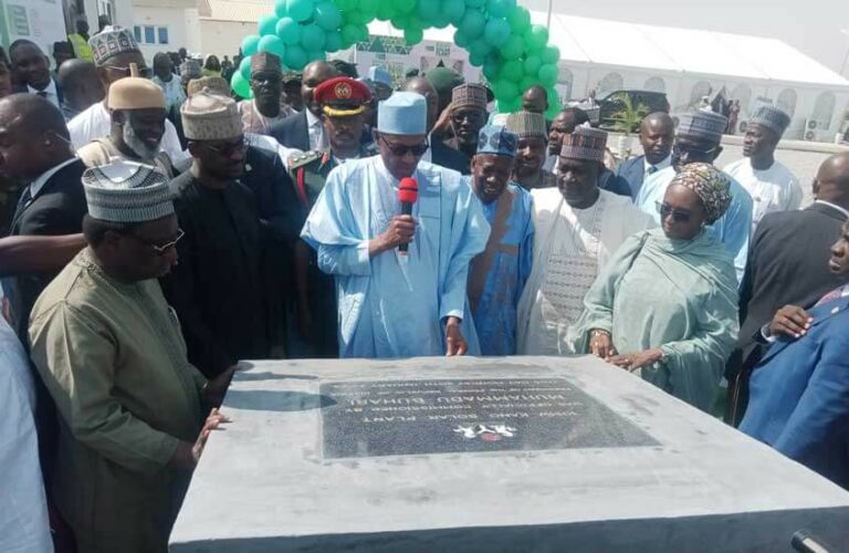 Buhari NSIA project - THEWILL NEWS MEDIA
