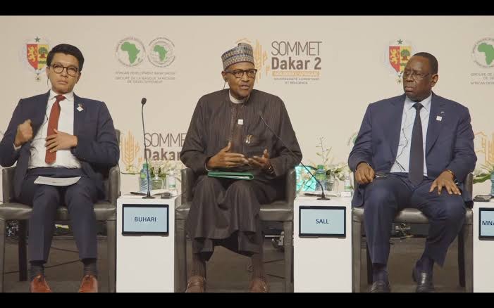 Buhari at Dakar - THEWILL NEWS MEDIA