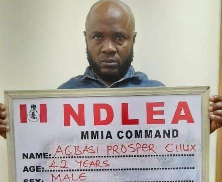 Prosper Agbasi Ndlea - THEWILL NEWS MEDIA