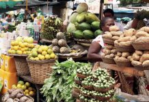 THEWILL EDITORIAL: Dealing With Food Inflation Inflation