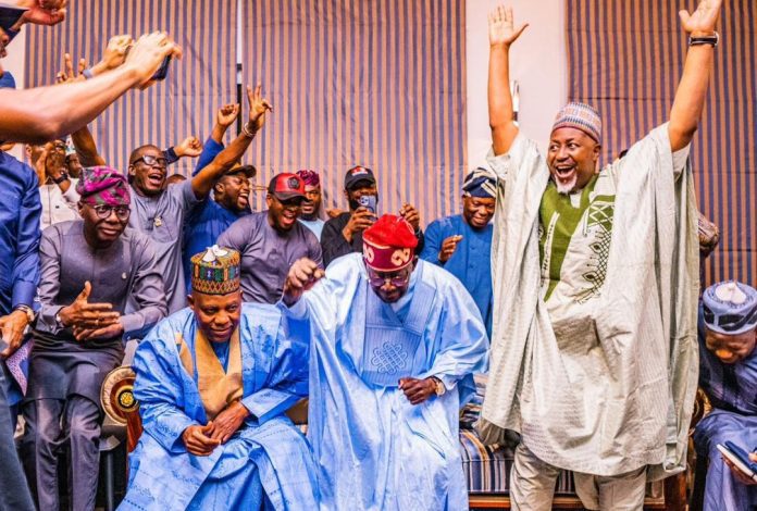 C54A18B1-D767-4187-B921-22DE2D0F2D52 Inec declared tinubu winner