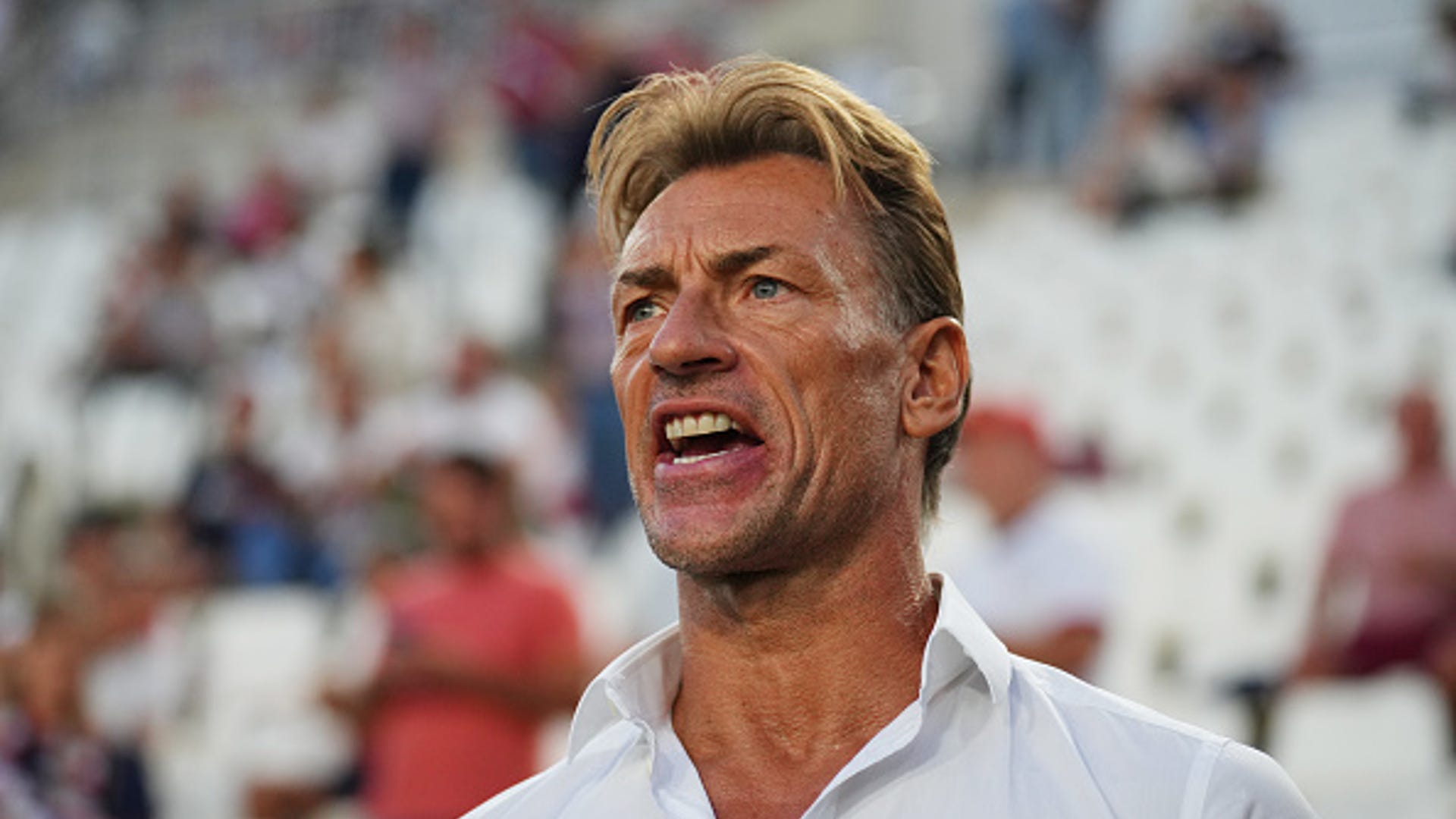Herve Renard - THEWILL NEWS MEDIA Herve Renard