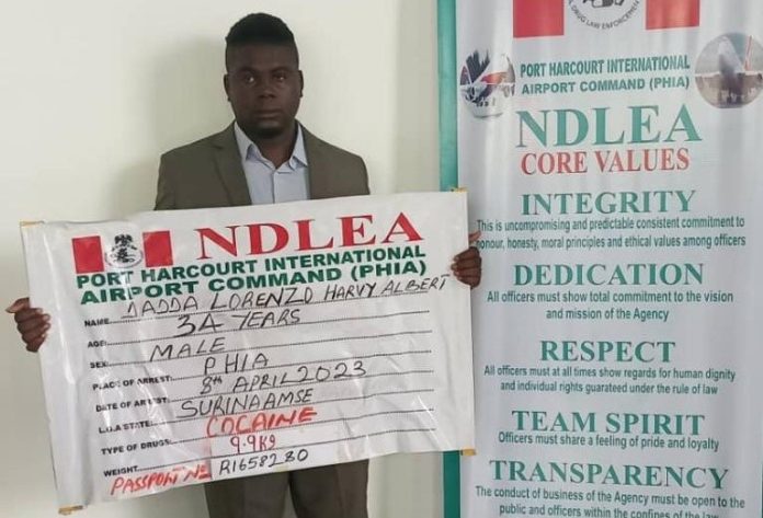 NDLEA Lorenzo