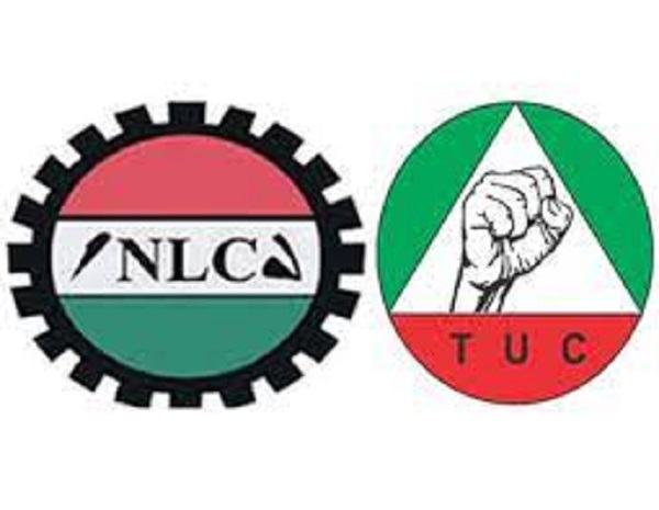 NLC TUC
