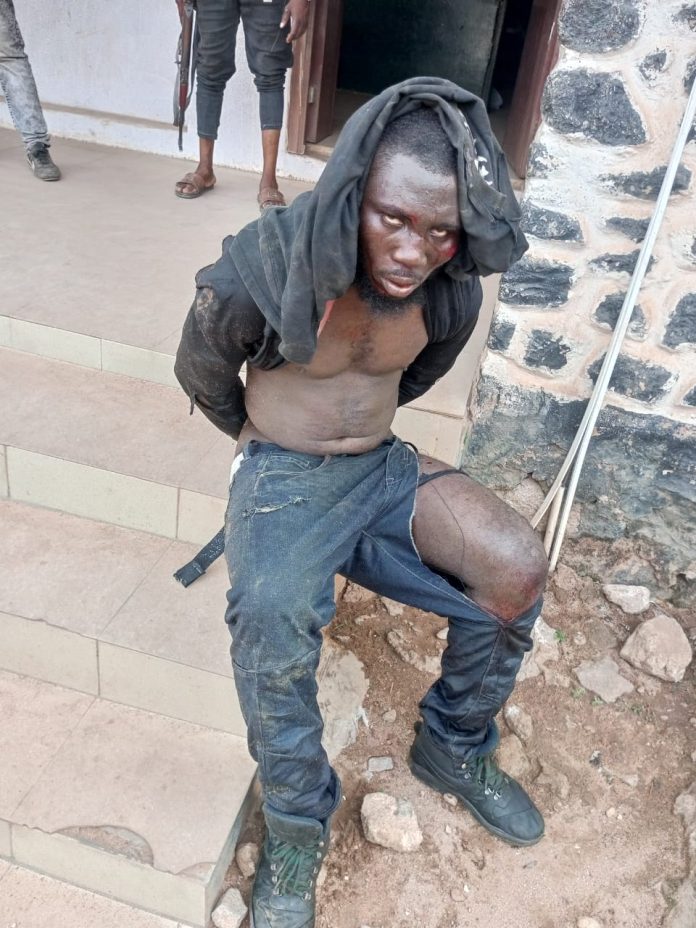 The arrested suspect