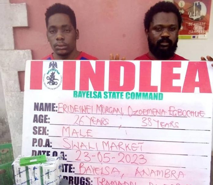 NDLEA