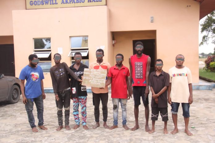 Kidnappers