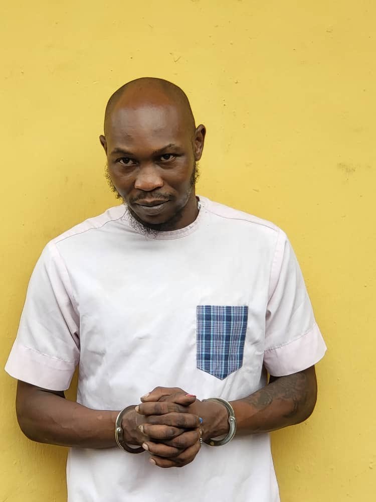 Seun Kuti - THEWILL NEWS MEDIA
