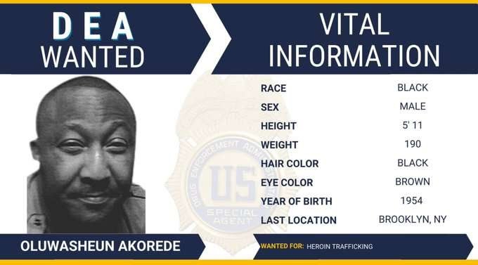 Akorede