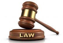THEWILL EDITORIAL: Killing a Fly with a Sledge Hammer Court